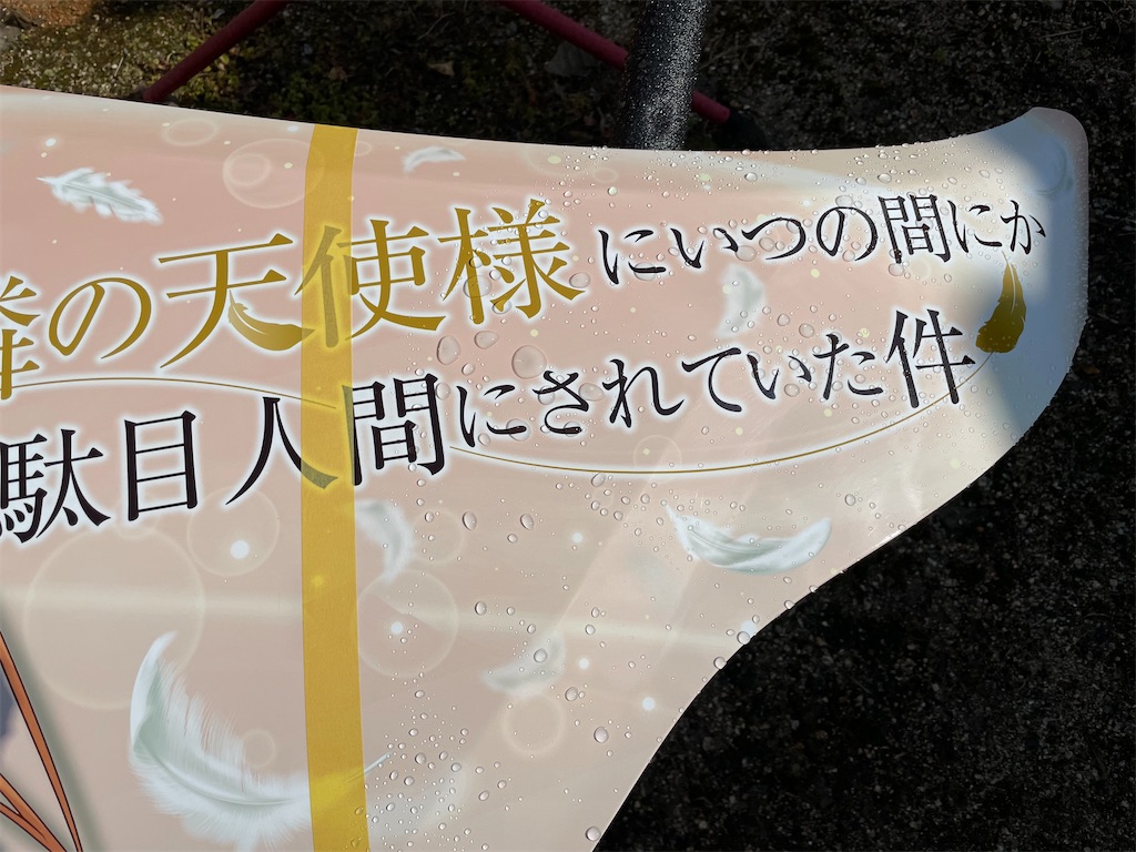 f:id:amekuressyu:20250213233012j:image