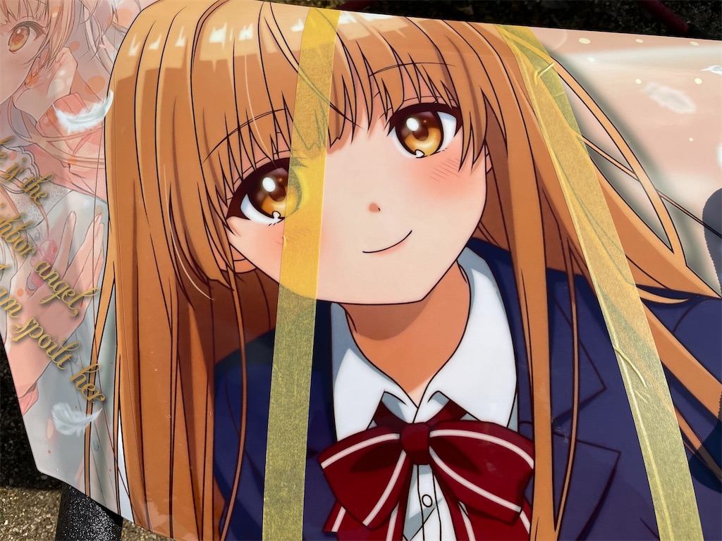 f:id:amekuressyu:20250214212104j:image