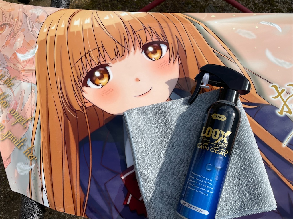 f:id:amekuressyu:20250214212108j:image