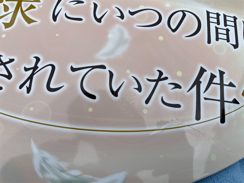 f:id:amekuressyu:20250216210533j:image