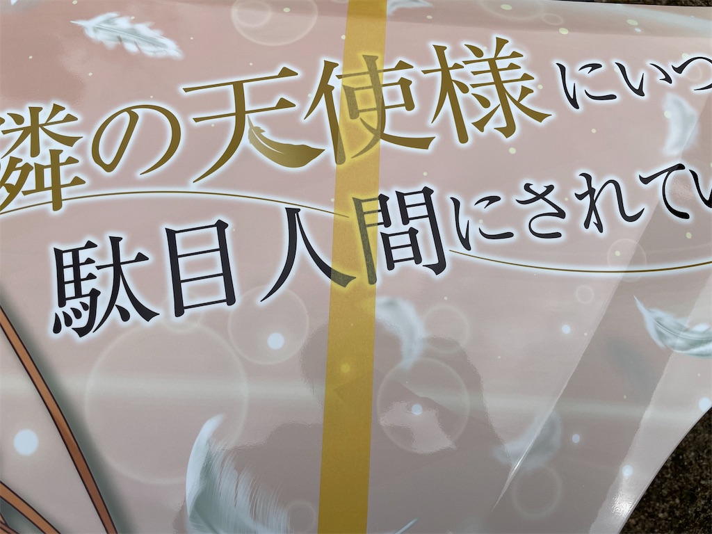 f:id:amekuressyu:20250216210540j:image