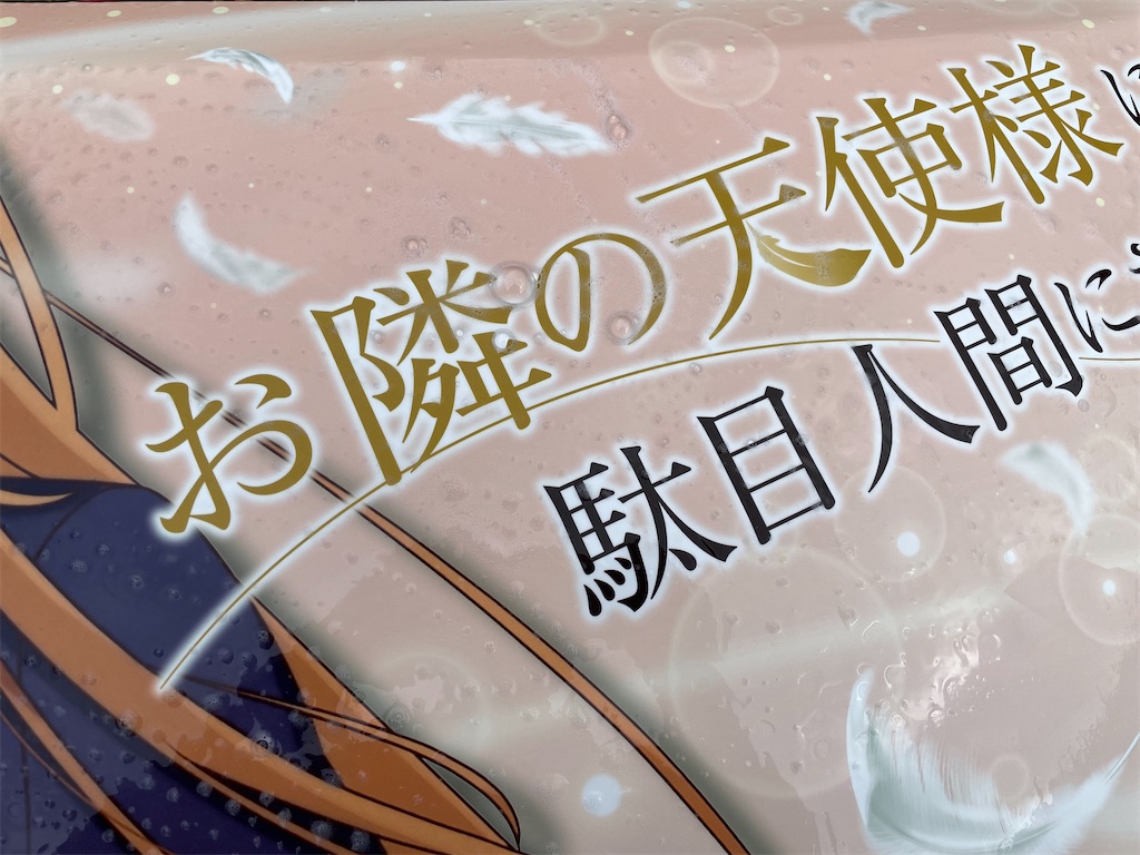f:id:amekuressyu:20250217221037j:image
