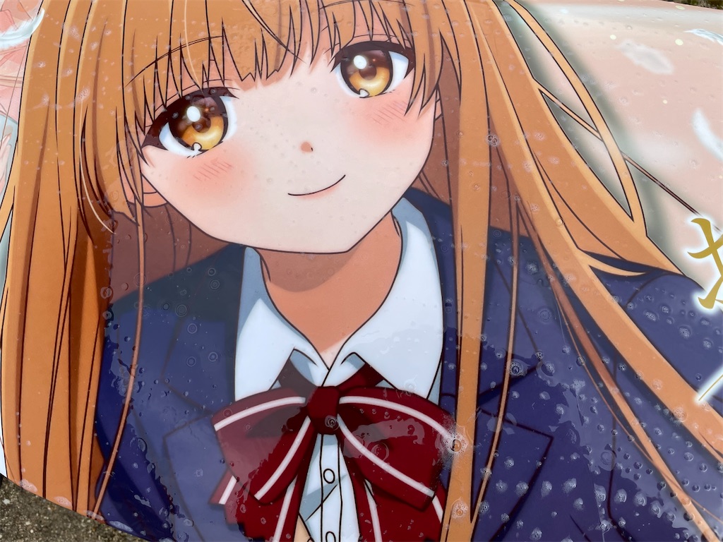 f:id:amekuressyu:20250217221041j:image