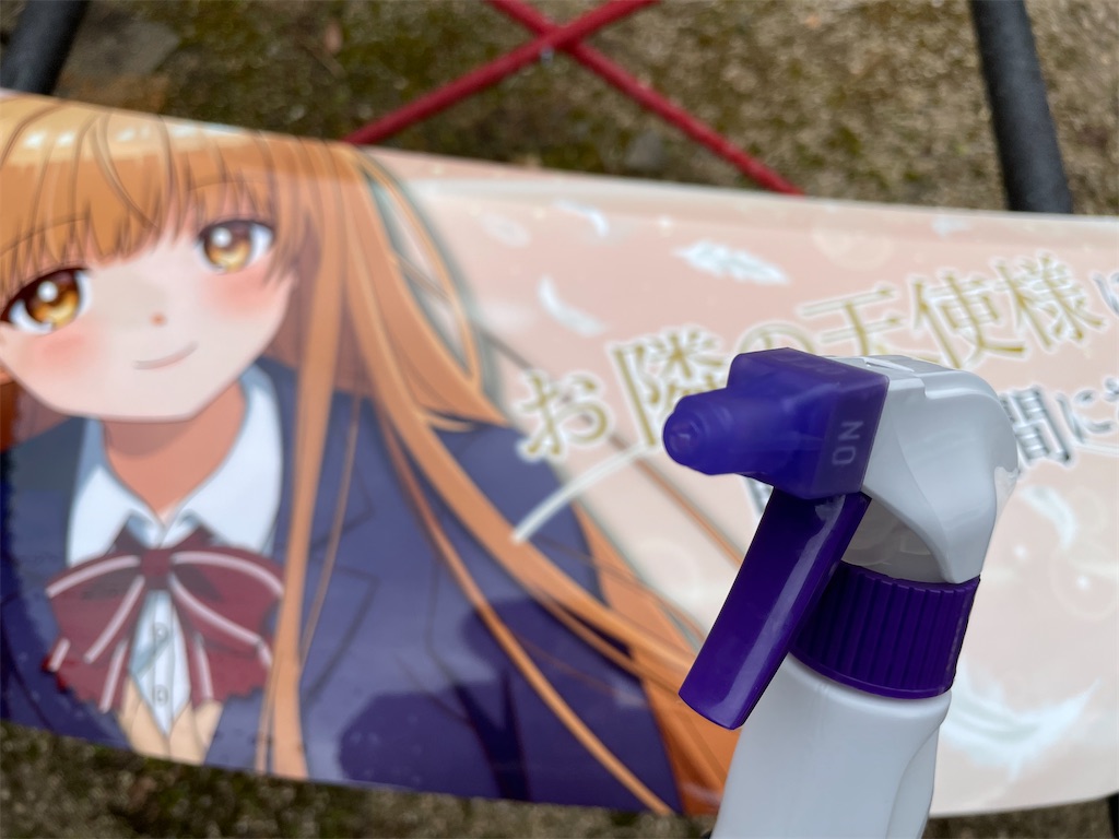 f:id:amekuressyu:20250217221044j:image