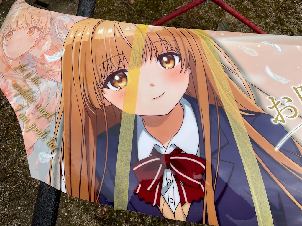 f:id:amekuressyu:20250218000538j:image