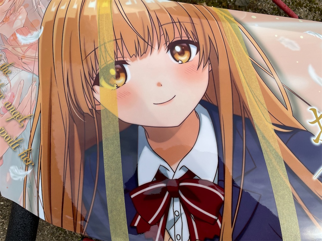 f:id:amekuressyu:20250218231550j:image
