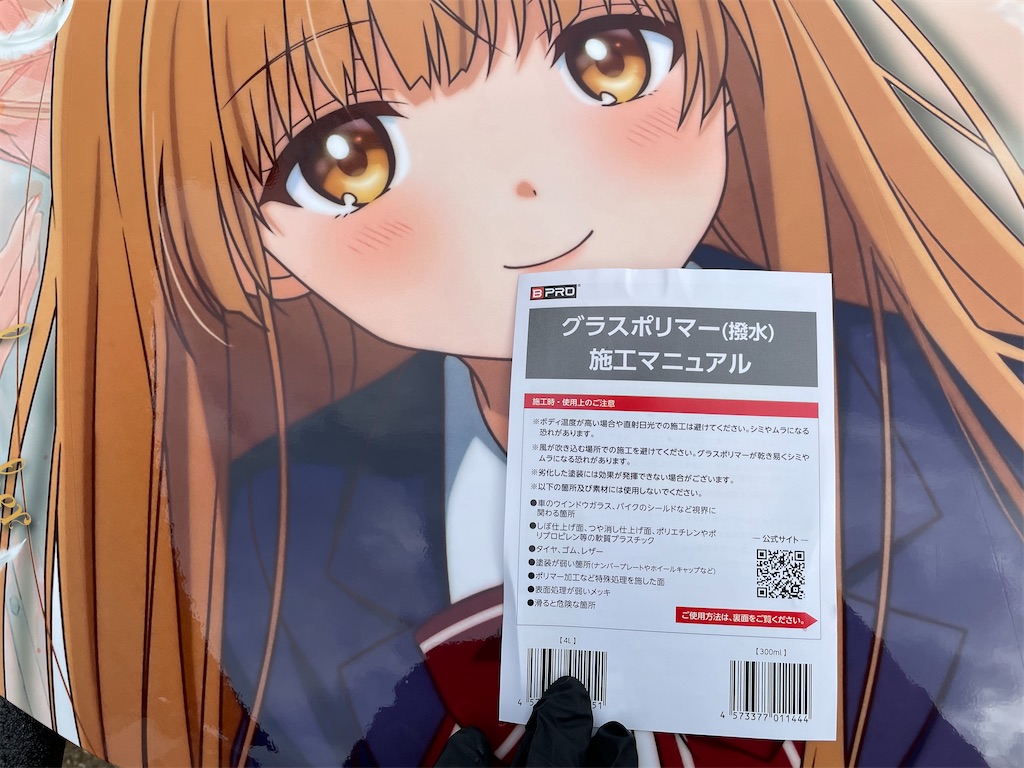 f:id:amekuressyu:20250218231601j:image