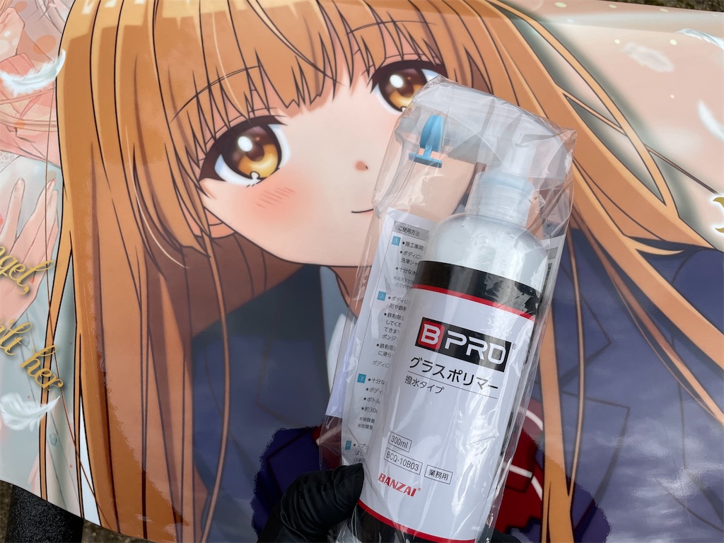 f:id:amekuressyu:20250218231608j:image