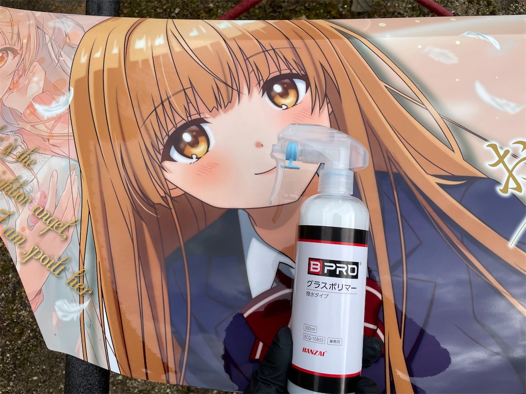 f:id:amekuressyu:20250218231617j:image