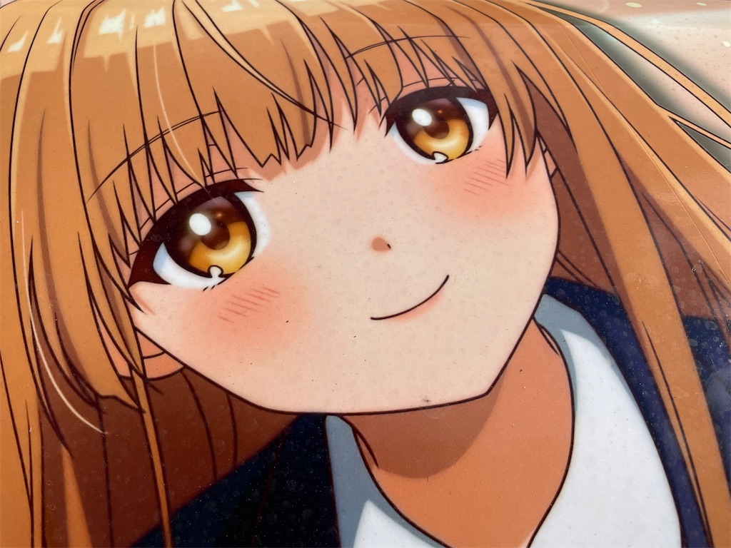 f:id:amekuressyu:20250224095945j:image