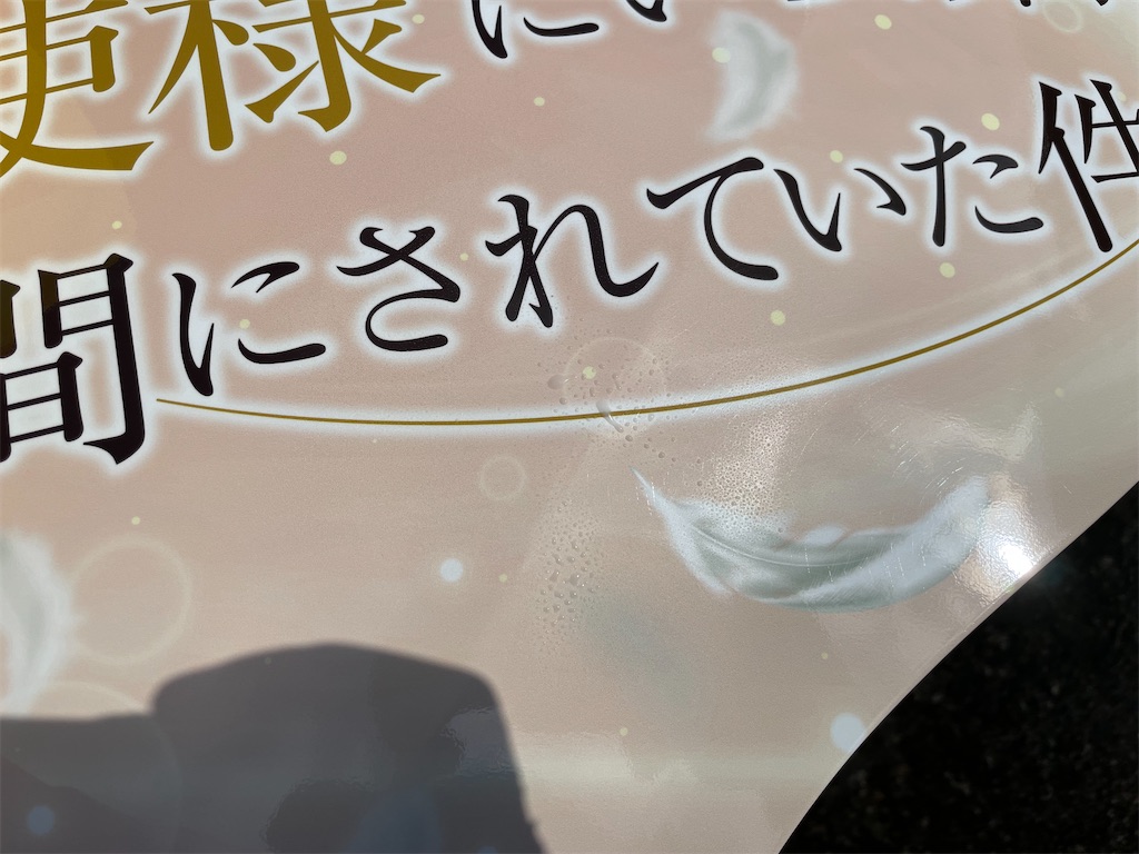 f:id:amekuressyu:20250224140711j:image