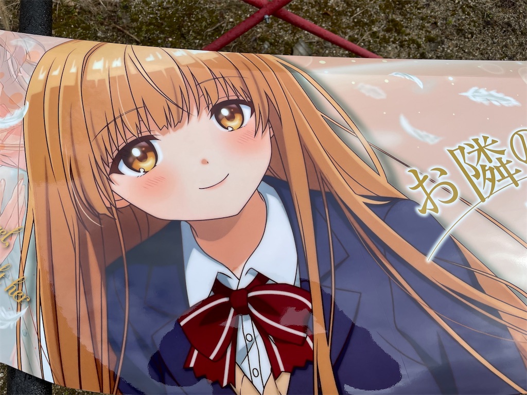f:id:amekuressyu:20250225194627j:image