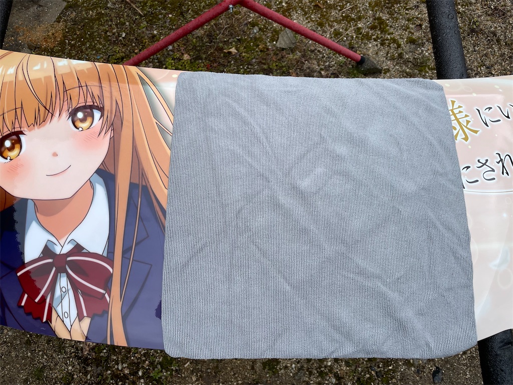 f:id:amekuressyu:20250225194637j:image