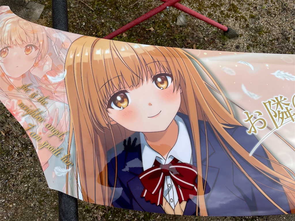 f:id:amekuressyu:20250225194652j:image