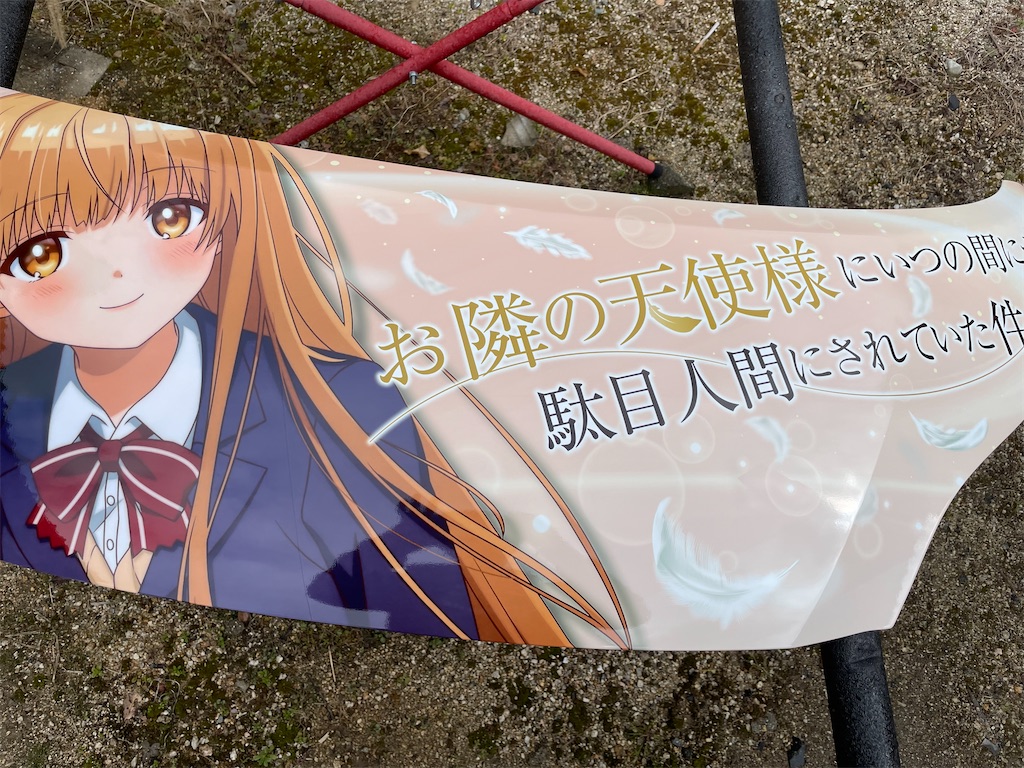 f:id:amekuressyu:20250225194656j:image