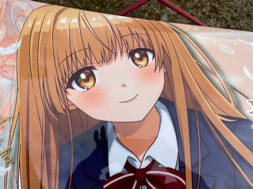 f:id:amekuressyu:20250225194722j:image