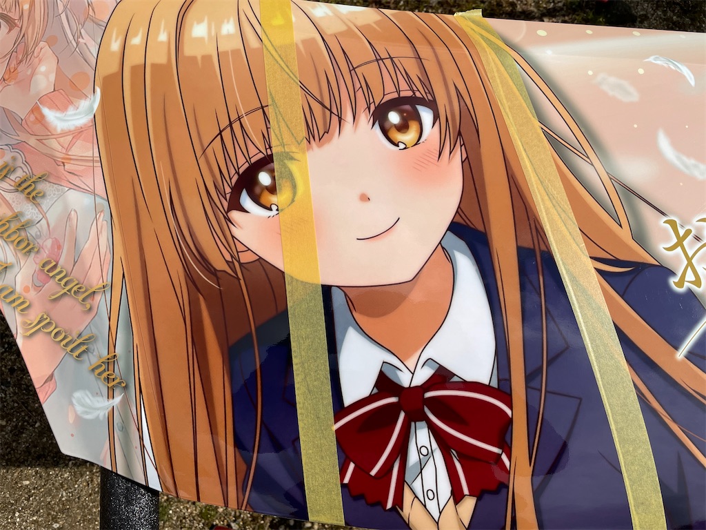 f:id:amekuressyu:20250226213507j:image