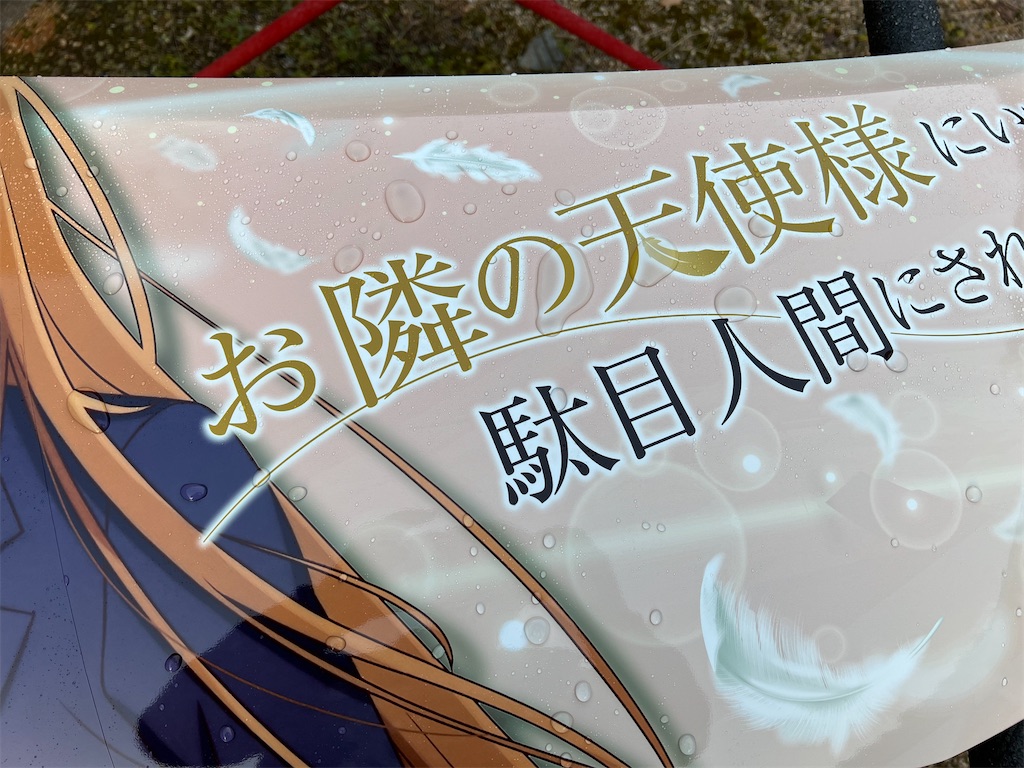 f:id:amekuressyu:20250308201559j:image
