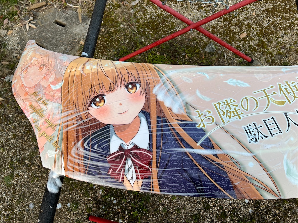 f:id:amekuressyu:20250308201615j:image