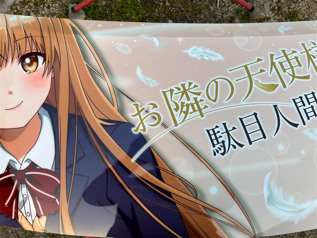 f:id:amekuressyu:20250308201635j:image