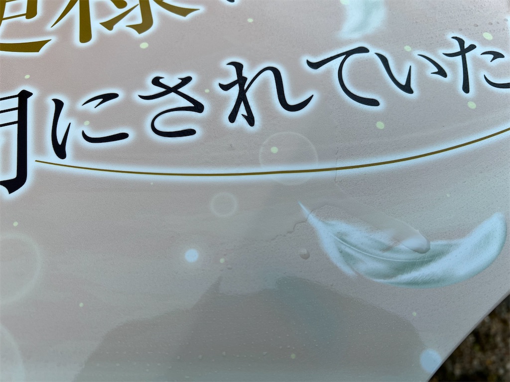 f:id:amekuressyu:20250311200936j:image