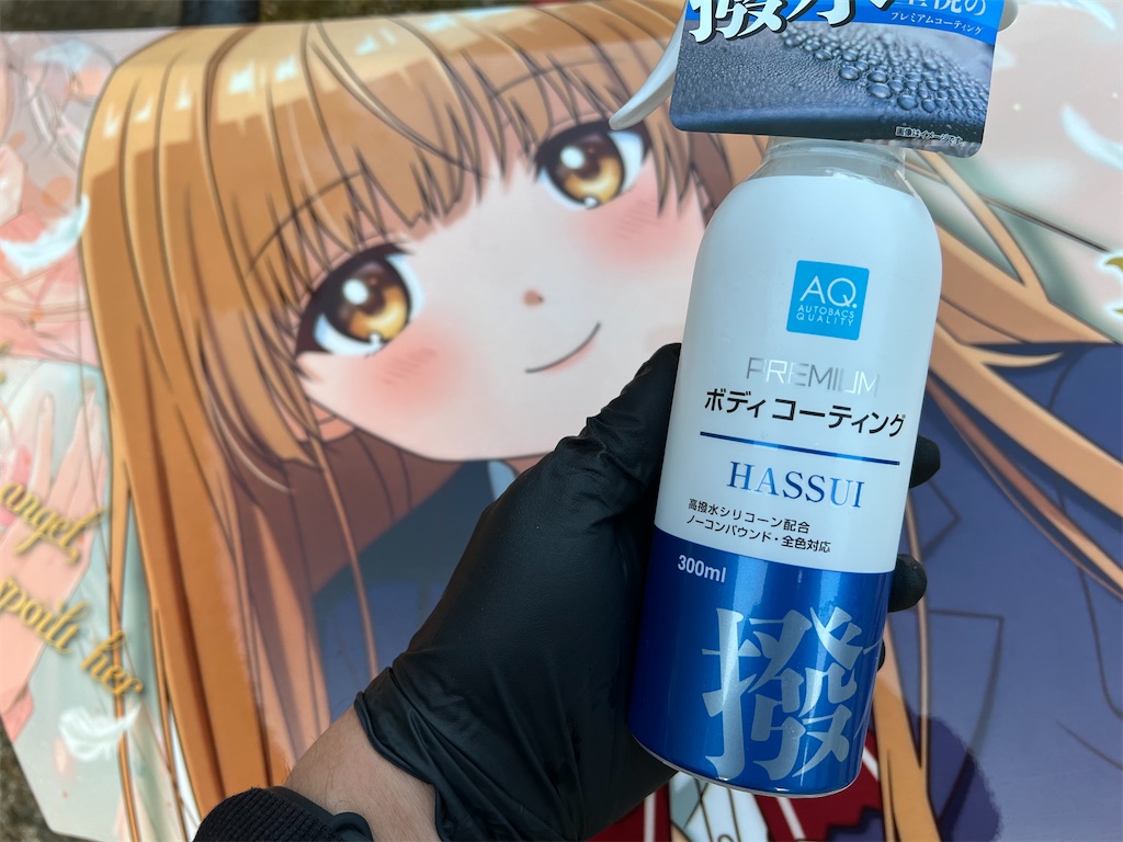 f:id:amekuressyu:20250312193509j:image
