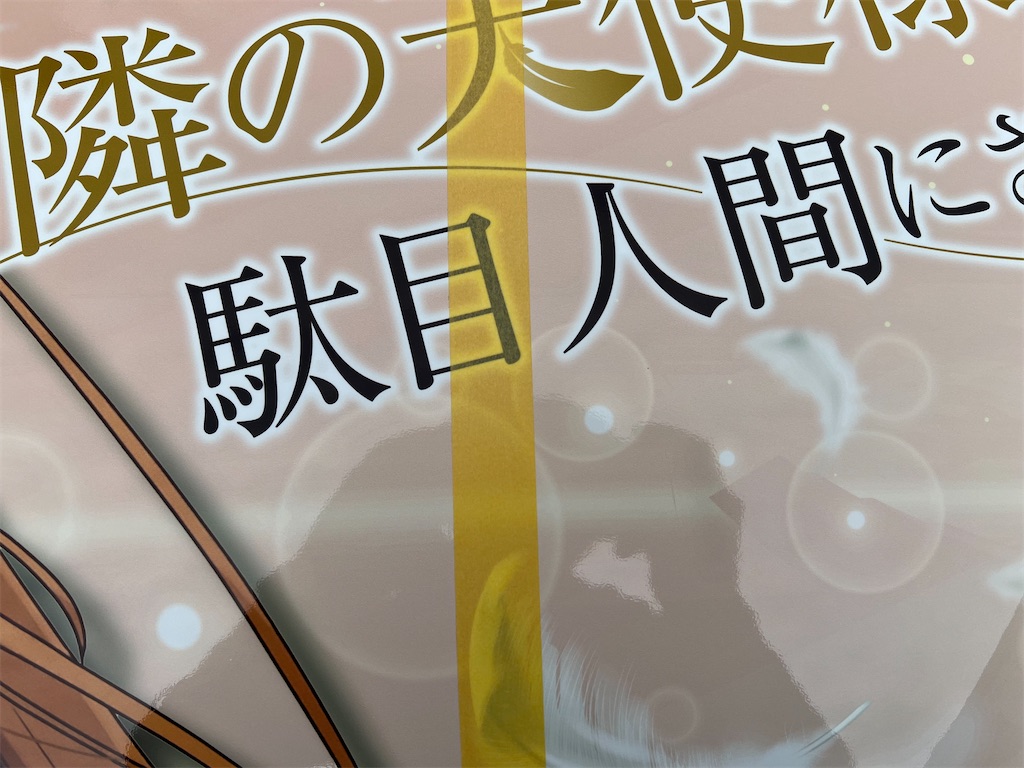 f:id:amekuressyu:20250312214830j:image