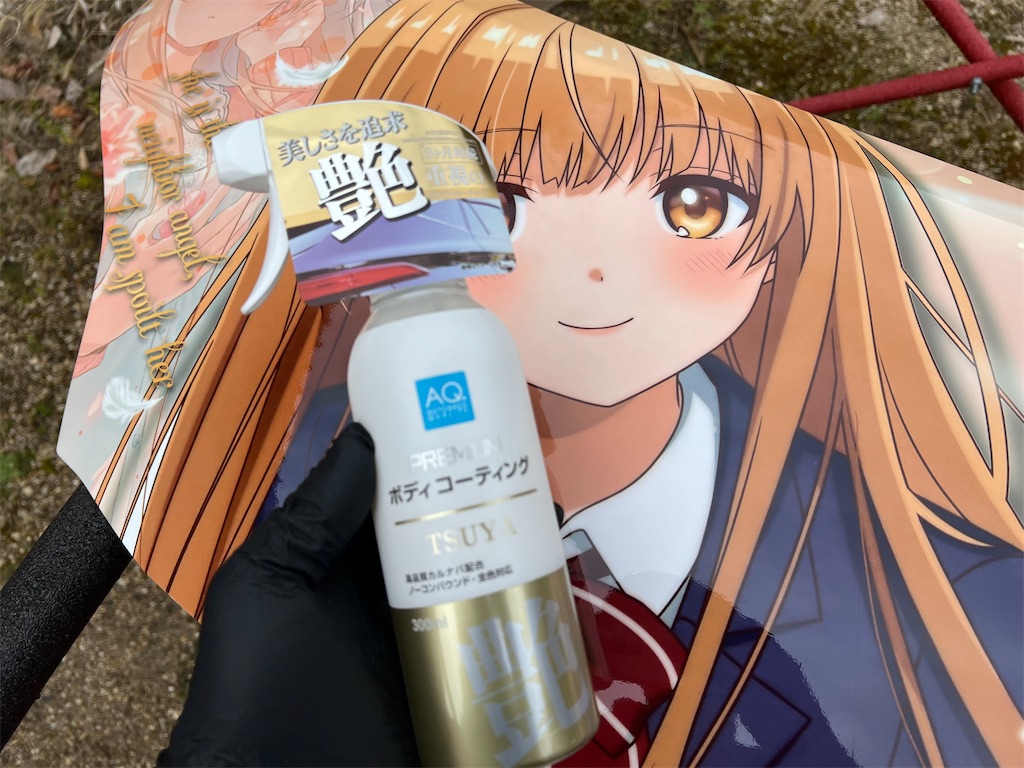 f:id:amekuressyu:20250313212348j:image