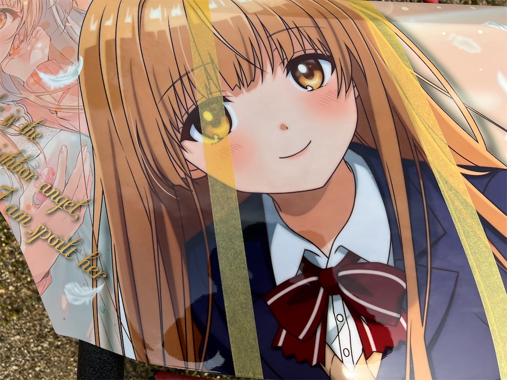 f:id:amekuressyu:20250313212359j:image