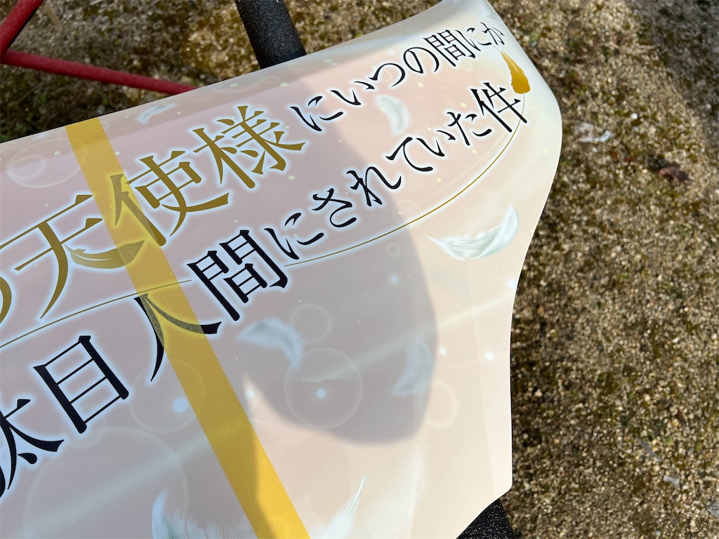 f:id:amekuressyu:20250314221229j:image