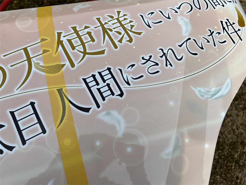 f:id:amekuressyu:20250317222918j:image