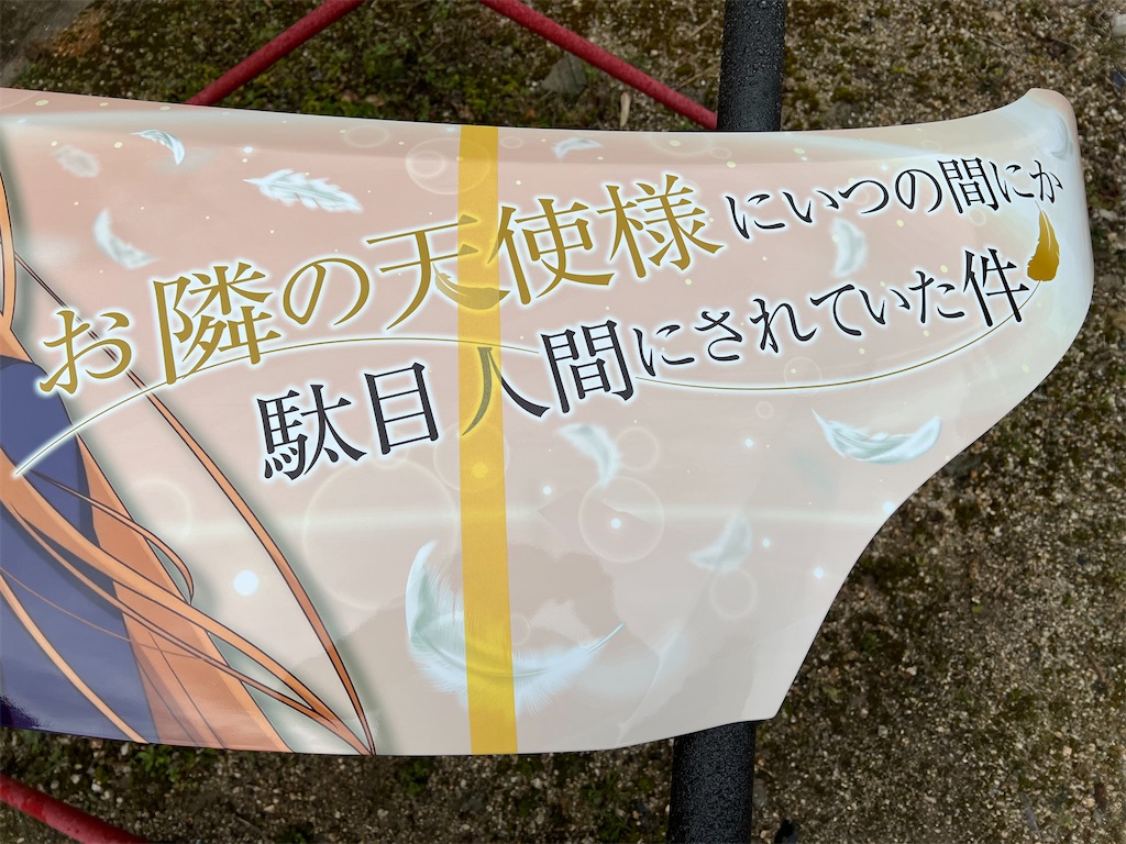 f:id:amekuressyu:20250317222922j:image