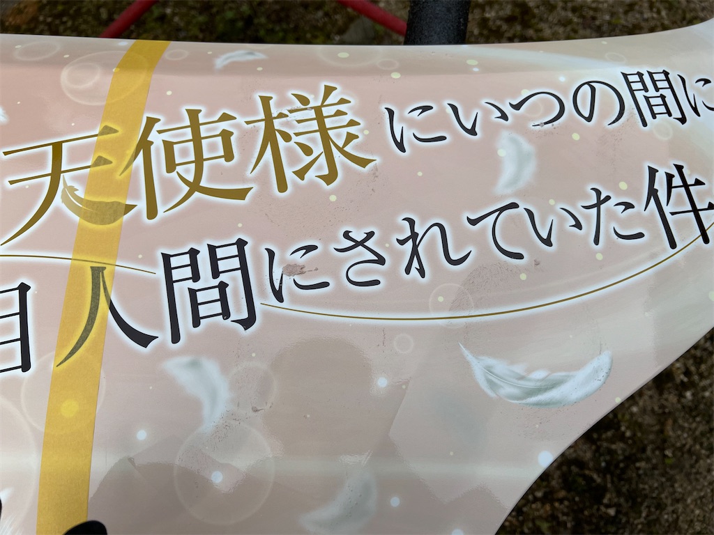 f:id:amekuressyu:20250317222925j:image