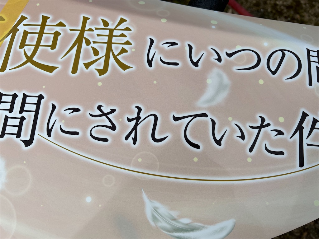 f:id:amekuressyu:20250317222929j:image