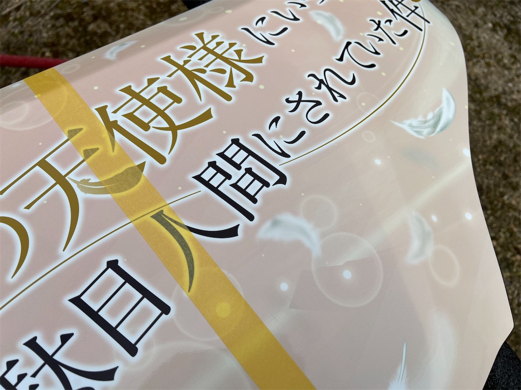 f:id:amekuressyu:20250317222944j:image