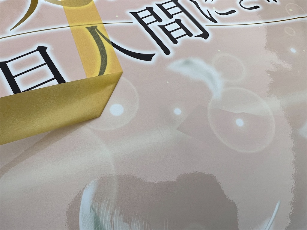 f:id:amekuressyu:20250317222948j:image