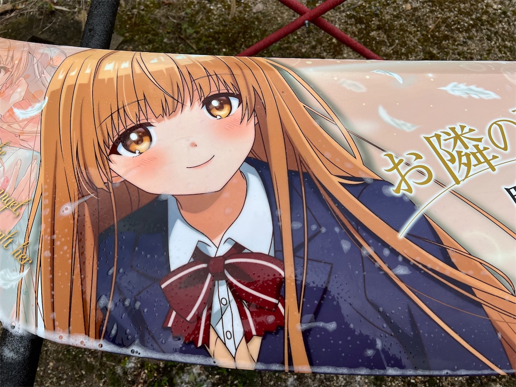 f:id:amekuressyu:20250319092156j:image