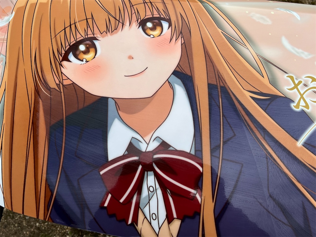 f:id:amekuressyu:20250319092237j:image