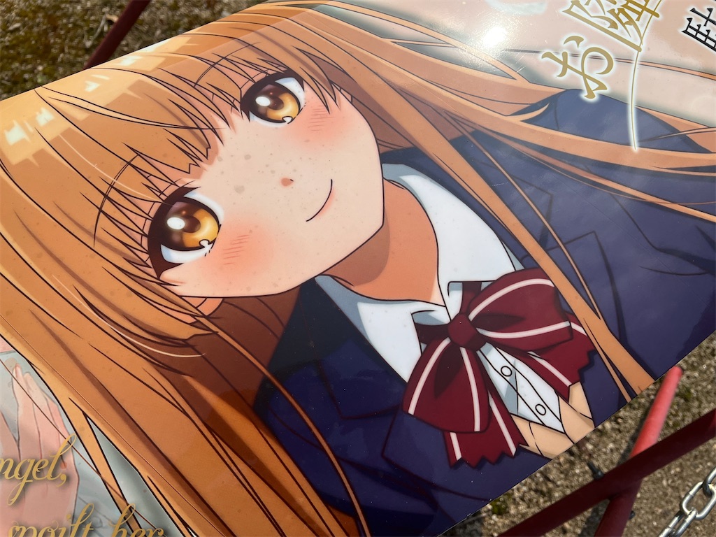 f:id:amekuressyu:20250320210143j:image