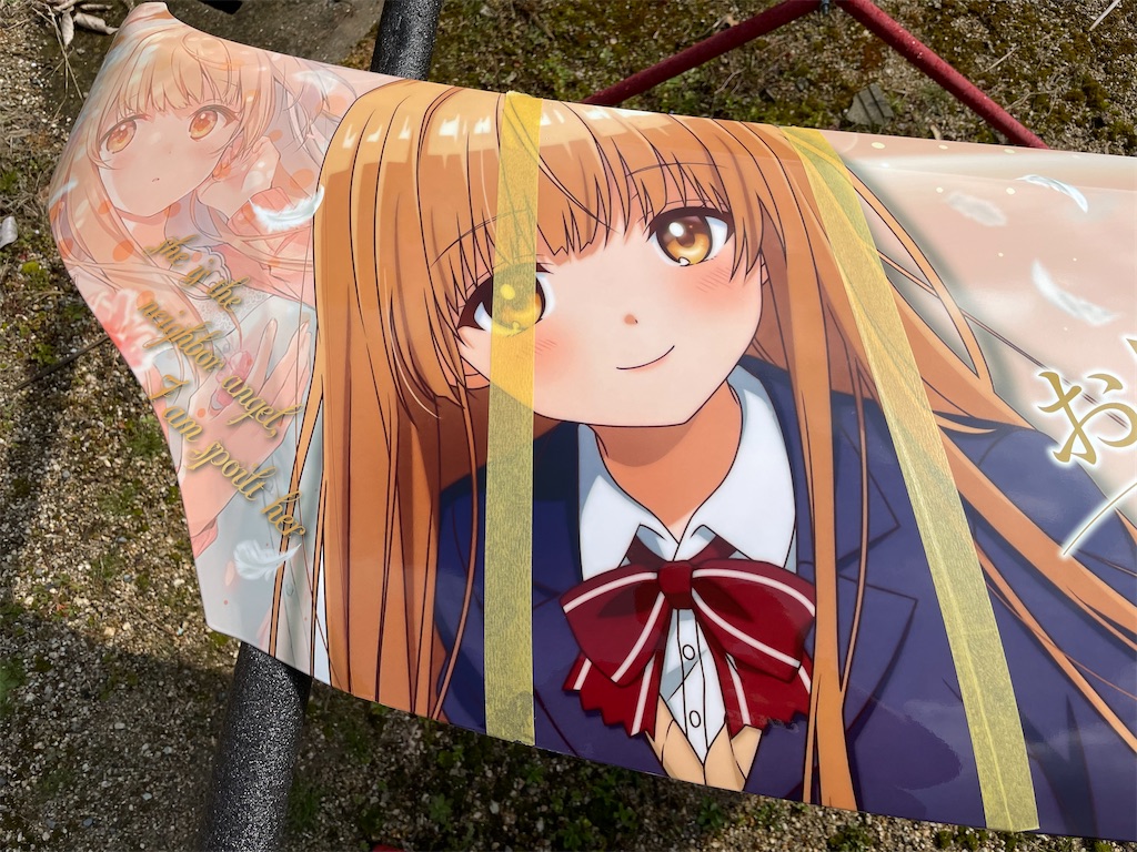 f:id:amekuressyu:20250323191457j:image