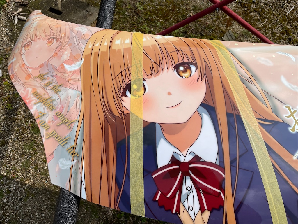 f:id:amekuressyu:20250323191531j:image