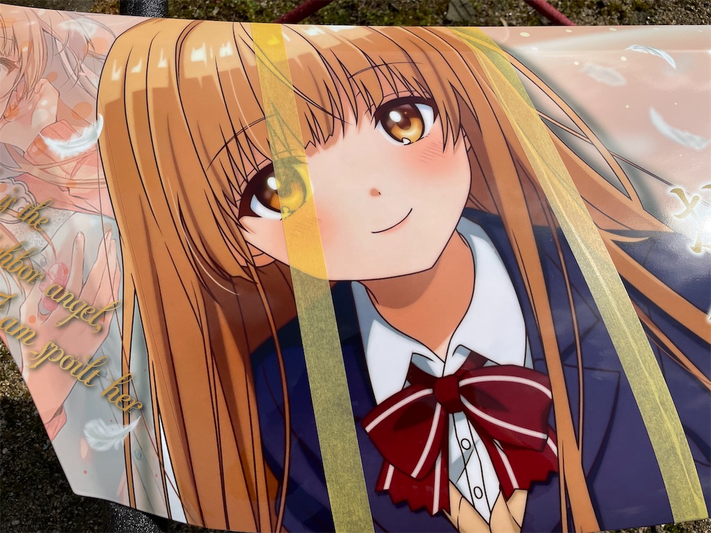 f:id:amekuressyu:20250325195445j:image