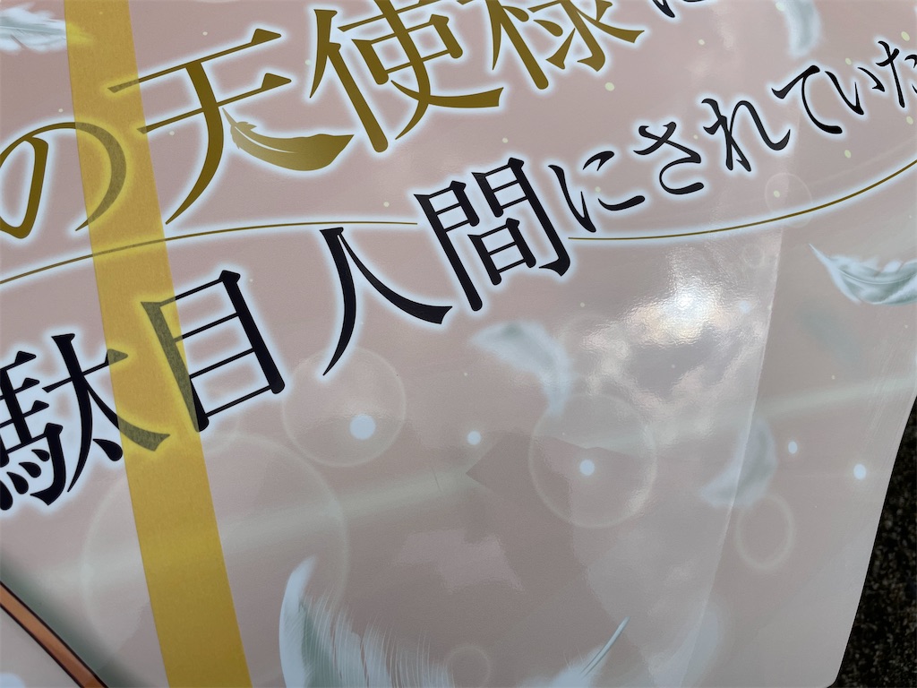f:id:amekuressyu:20250325213451j:image