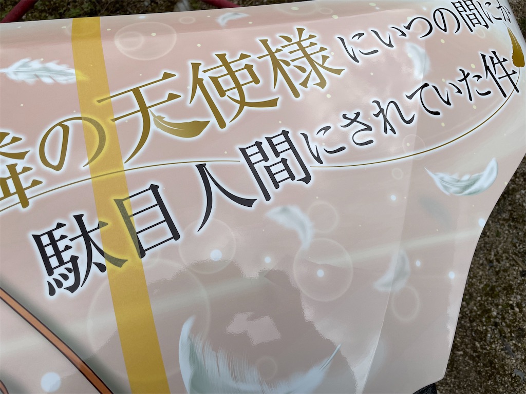 f:id:amekuressyu:20250325215909j:image