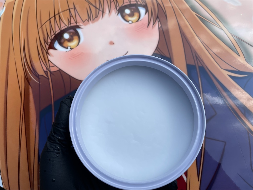 f:id:amekuressyu:20250325221820j:image