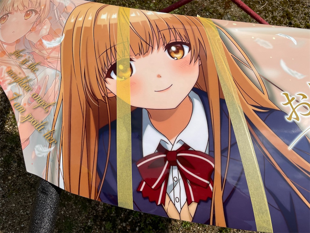f:id:amekuressyu:20250325221828j:image