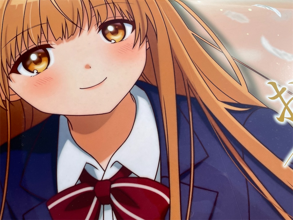 f:id:amekuressyu:20250404205321j:image