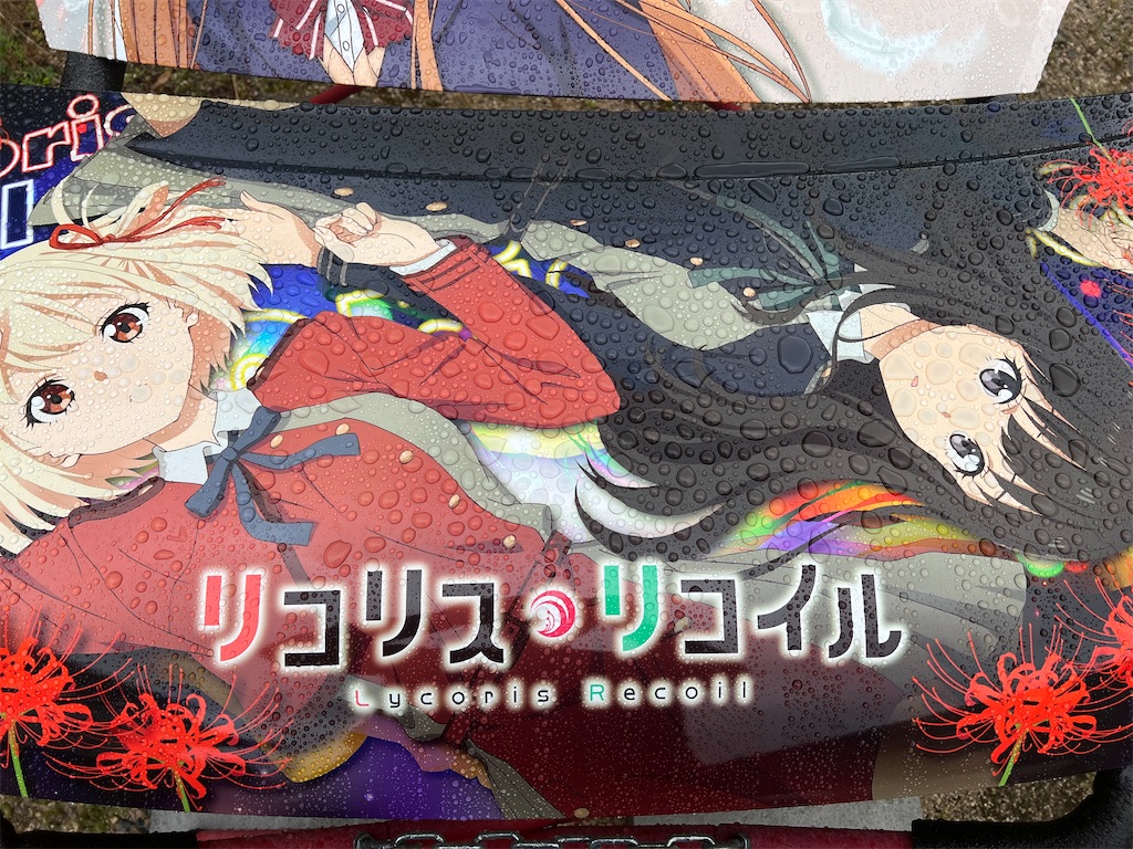 f:id:amekuressyu:20250413184227j:image