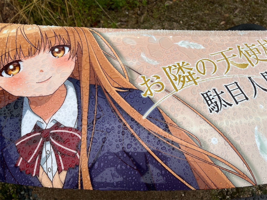 f:id:amekuressyu:20250413184231j:image