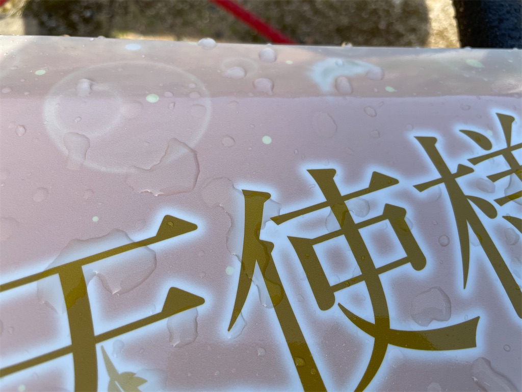 f:id:amekuressyu:20250419225447j:image